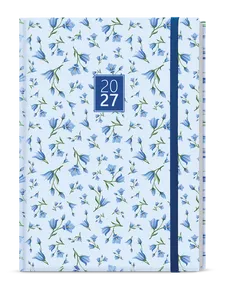 Täglicher Terminkalender - David - Lamino - A5 - Blau